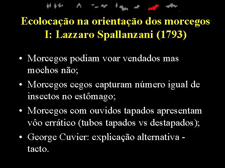 Ecolocação na orientação dos morcegos I: Lazzaro Spallanzani (1793) • Morcegos podiam voar vendados