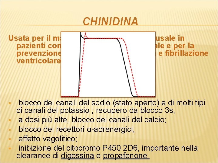 CHINIDINA Usata per il mantenimento del ritmo sinusale in pazienti con flutter o fibrillazione
