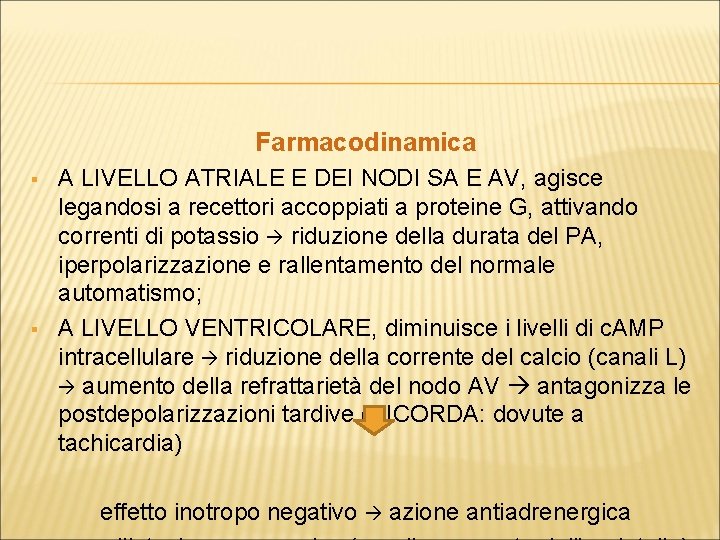 Farmacodinamica § § A LIVELLO ATRIALE E DEI NODI SA E AV, agisce legandosi