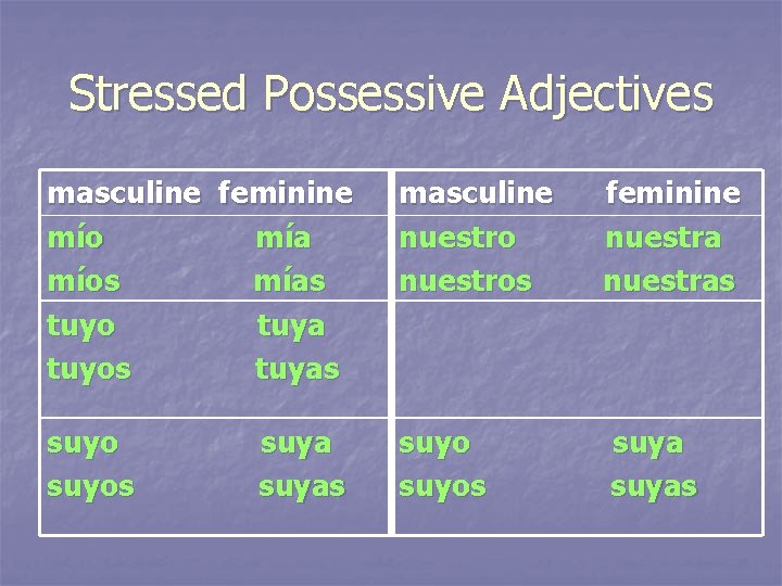 Stressed Possessive Adjectives masculine feminine mío mía míos mías tuyo tuya tuyos tuyas masculine
