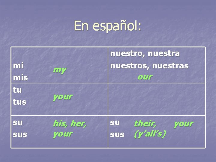 En español: mi mis tu tus my su sus his, her, your nuestro, nuestra