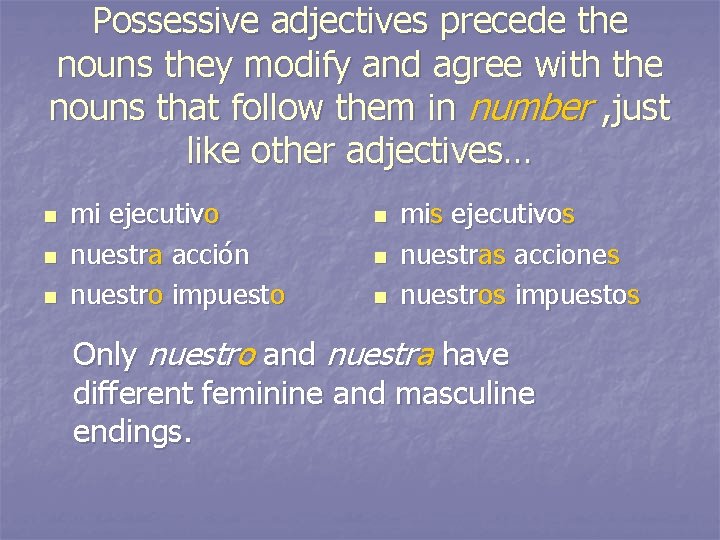 Possessive adjectives precede the nouns they modify and agree with the nouns that follow