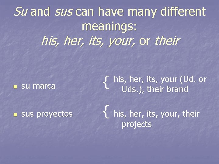 Su and sus can have many different meanings: his, her, its, your, or their