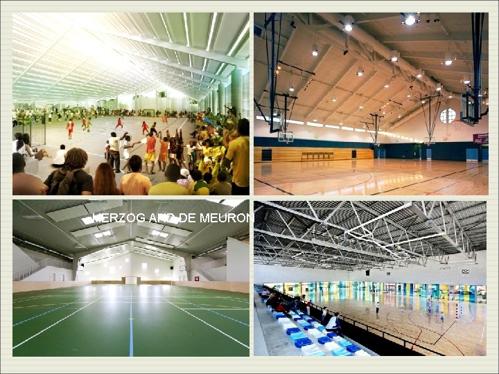 HERZOG AND DE MEURON HERZOG AND DE MEURON