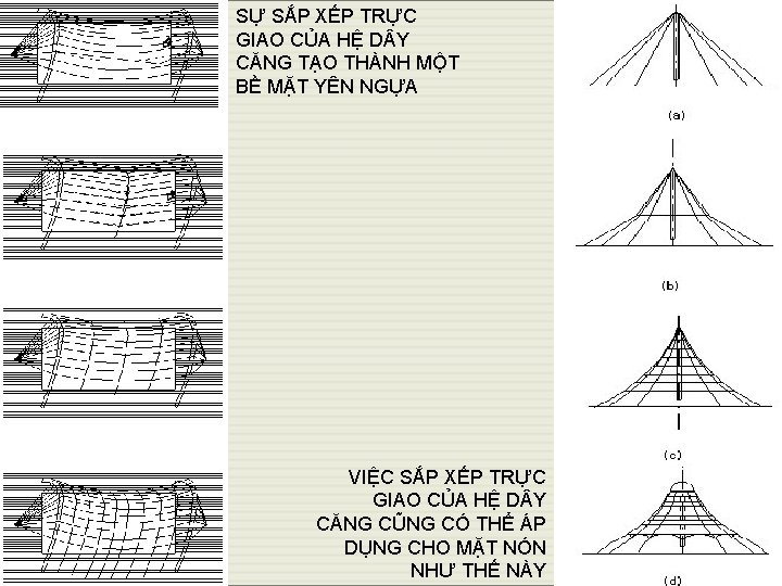 SỰ SẮP XẾP TRỰC GIAO CỦA HỆ D Y CĂNG TẠO THÀNH MỘT BỀ