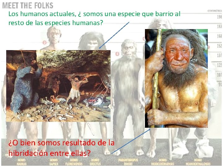Los humanos actuales, ¿ somos una especie que barrio al resto de las especies