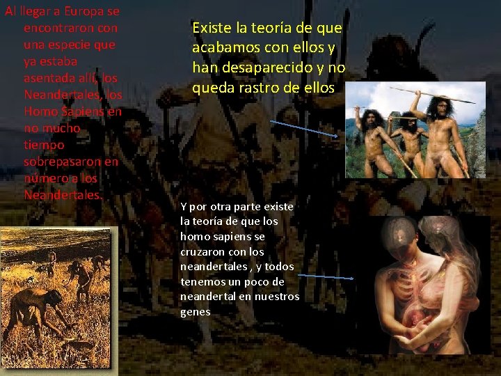 Al llegar a Europa se encontraron con una especie que ya estaba asentada allí,