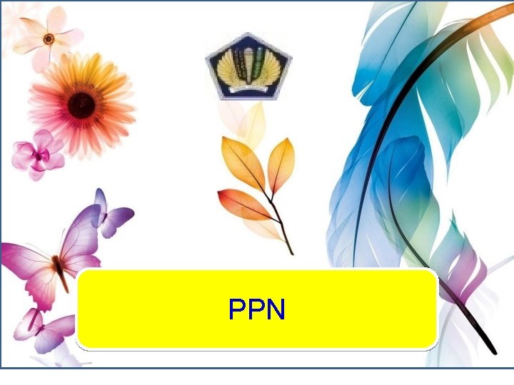 PPN 