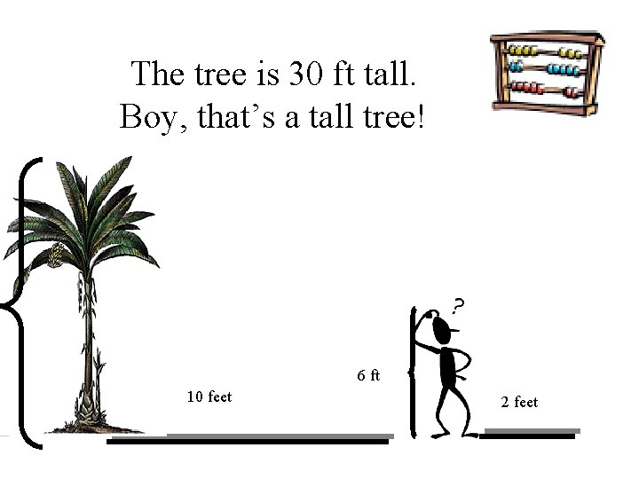 The tree is 30 ft tall. Boy, that’s a tall tree! 6 ft 10