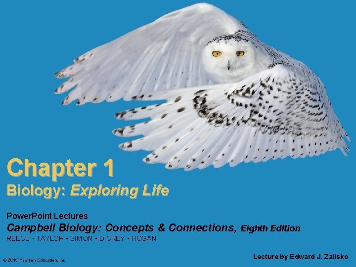 Chapter 1 Biology: Exploring Life Power. Point Lectures Campbell Biology: Concepts & Connections, Eighth