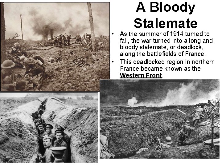 A Bloody Stalemate • As the summer of 1914 turned to fall, the war