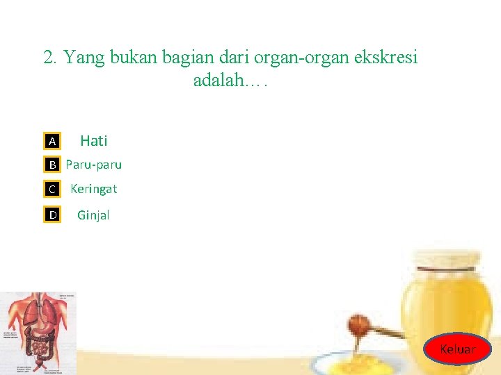 2. Yang bukan bagian dari organ-organ ekskresi adalah…. A Hati B Paru-paru C Keringat