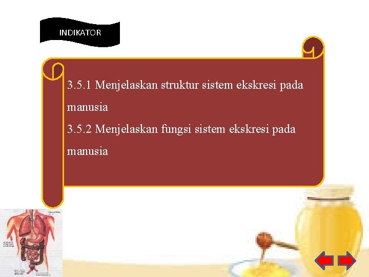 INDIKATOR 3. 5. 1 Menjelaskan struktur sistem ekskresi pada manusia 3. 5. 2 Menjelaskan