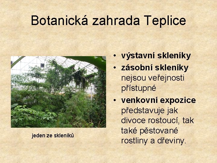 Botanická zahrada Teplice jeden ze skleníků • výstavní skleníky • zásobní skleníky nejsou veřejnosti