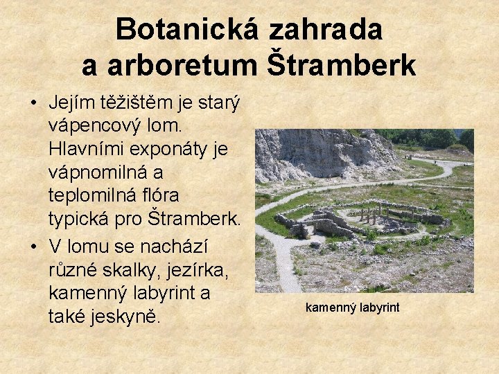 Botanická zahrada a arboretum Štramberk • Jejím těžištěm je starý vápencový lom. Hlavními exponáty