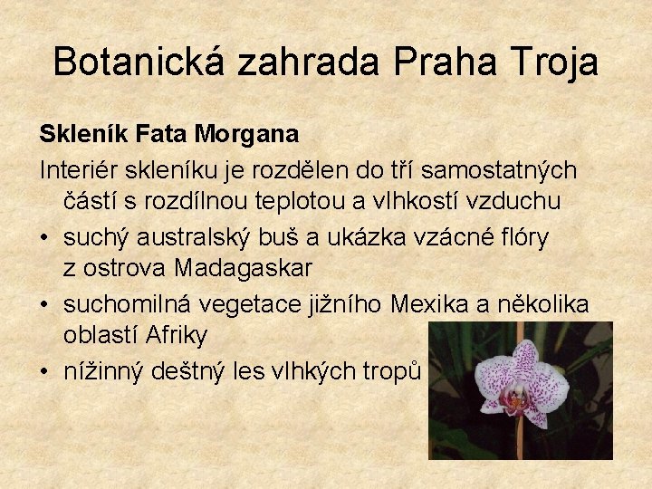 Botanická zahrada Praha Troja Skleník Fata Morgana Interiér skleníku je rozdělen do tří samostatných