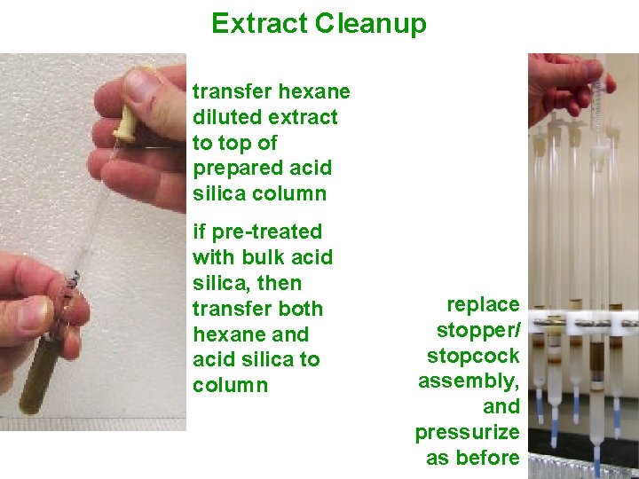 Extract Cleanup transfer hexane diluted extract to top of prepared acid silica column if Extract Cleanup transfer hexane diluted extract to top of prepared acid silica column if