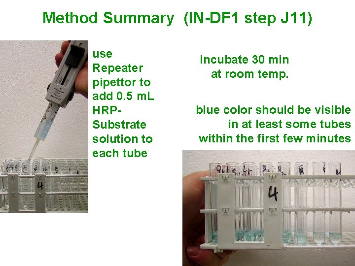 Method Summary (IN-DF 1 step J 11) use Repeater pipettor to add 0. 5 Method Summary (IN-DF 1 step J 11) use Repeater pipettor to add 0. 5