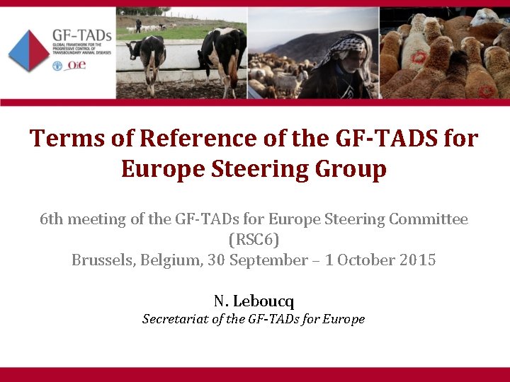 Terms of Reference of the GF-TADS for Europe Steering Group 6 th meeting of