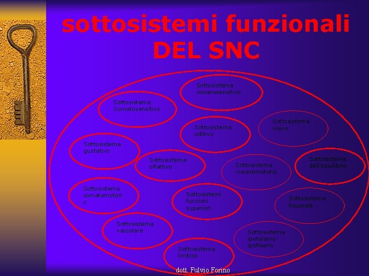 sottosistemi funzionali DEL SNC Sottosistema viscerosensitivo Sottosistema Somatosensitivo Sottosistema uditivo Sottosistema visivo Sottosistema gustativo