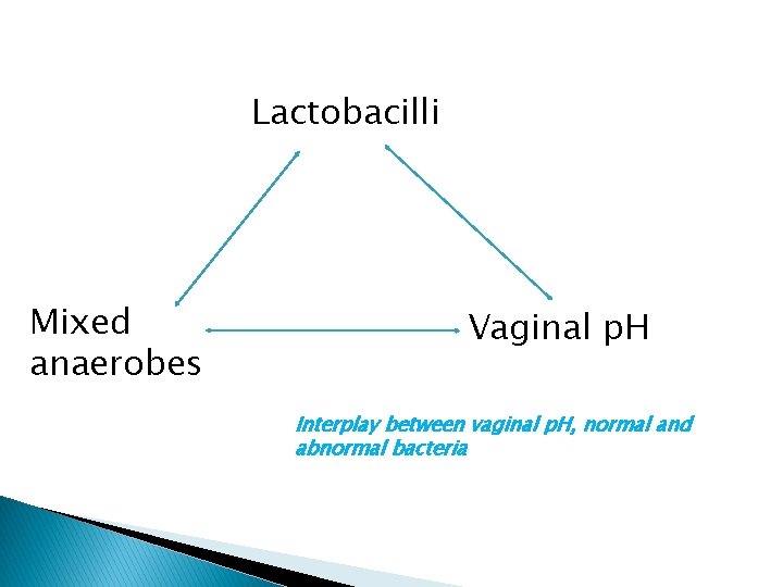 Lactobacilli Mixed anaerobes Vaginal p. H Interplay between vaginal p. H, normal and abnormal