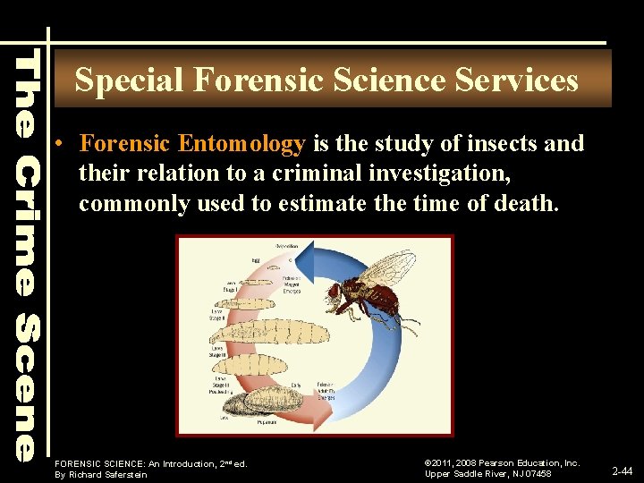 Special Forensic Science Services • Forensic Entomology is the study of insects and their