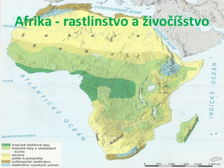 Afrika - rastlinstvo a živočíšstvo 