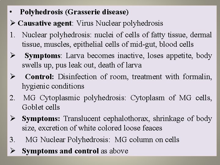  • Polyhedrosis (Grasserie disease) Ø Causative agent: Virus Nuclear polyhedrosis 1. Nuclear polyhedrosis: