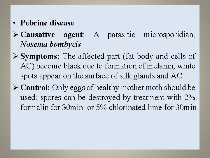  • Pebrine disease Ø Causative agent: A parasitic microsporidian, Nosema bombycis Ø Symptoms: