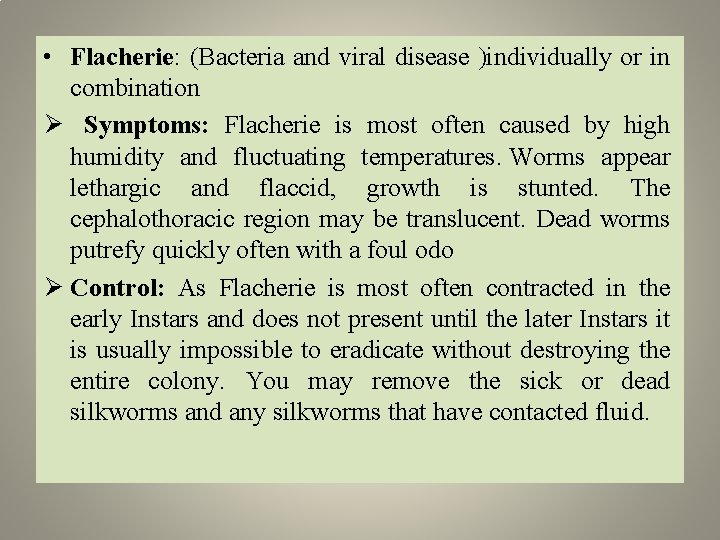  • Flacherie: (Bacteria and viral disease )individually or in combination Ø Symptoms: Flacherie