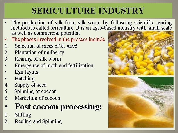 SERICULTURE INDUSTRY • The production of silk from silk worm by following scientific rearing