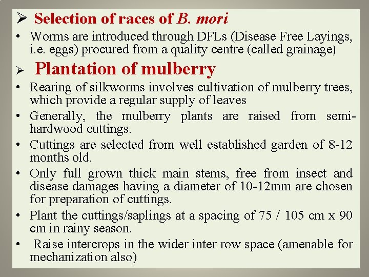 Ø Selection of races of B. mori • Worms are introduced through DFLs (Disease