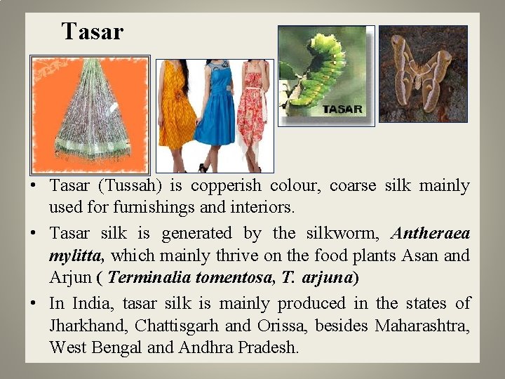  Tasar • Tasar (Tussah) is copperish colour, coarse silk mainly used for furnishings