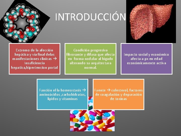 INTRODUCCIÓN Extremo de la afección hepática y vía final delas manifestaciones clínicas Insuficiencia hepatica, INTRODUCCIÓN Extremo de la afección hepática y vía final delas manifestaciones clínicas Insuficiencia hepatica,