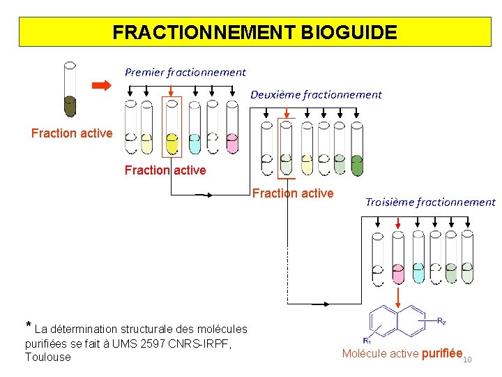 FRACTIONNEMENT BIOGUIDE Premier fractionnement Deuxième fractionnement Fraction active Troisième fractionnement * La détermination structurale
