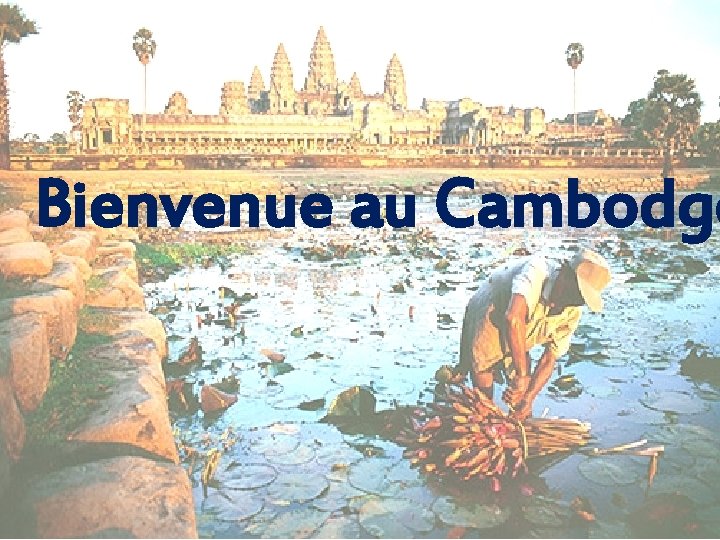 Bienvenue au Cambodge 17 