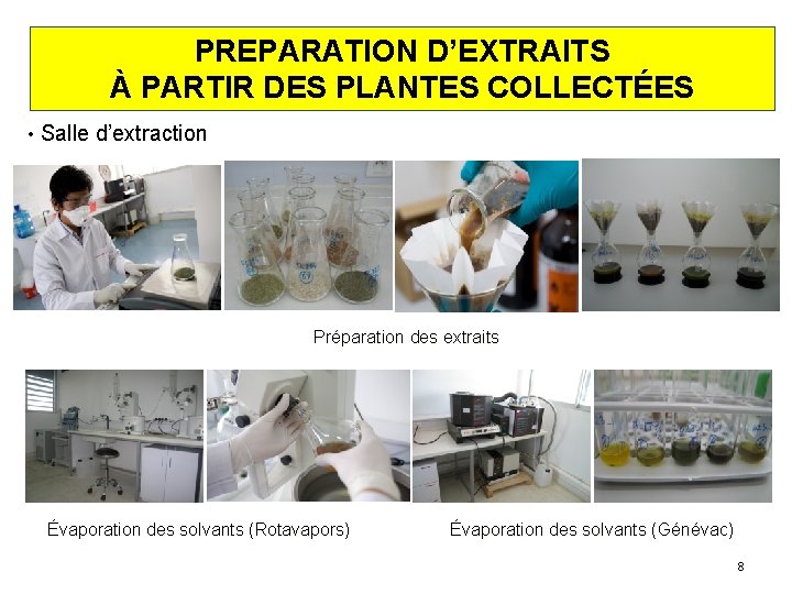 PREPARATION D’EXTRAITS À PARTIR DES PLANTES COLLECTÉES • Salle d’extraction Préparation des extraits Évaporation