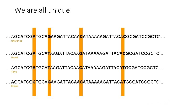 We are all unique … AGCATCGATGCAGAAGATTACAACATAAAAAGATTACACGCGATCCGCTC … reference … AGCATCGATGCATAAGATTACAAGATAAAAAGATTACACGCGATCCGCTC … David … AGCATCGATGCATAAGATTACAACATAAAAAGATTACATGCGATCCGCTC