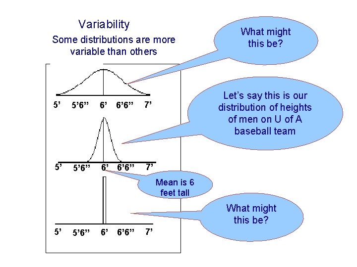 Variability Some distributions are more variable than others 5’ 5’ 6” 6’ 6’ 6”