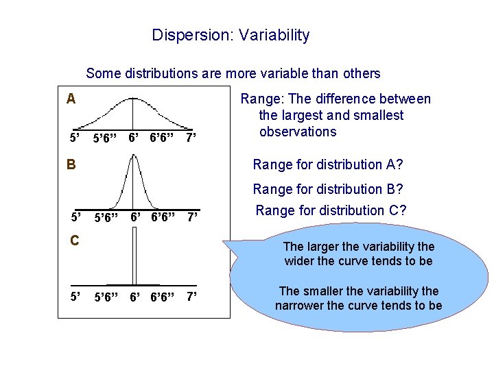 Dispersion: Variability Some distributions are more variable than others A 5’ 5’ 6” 6’