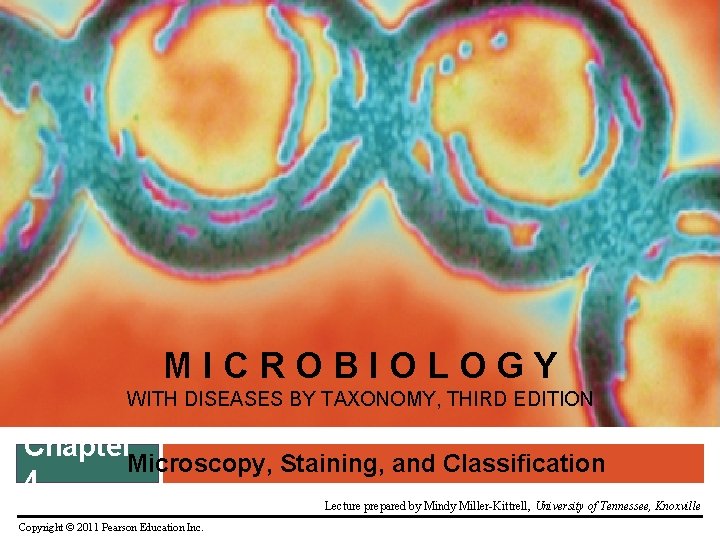 MICROBIOLOGY WITH DISEASES BY TAXONOMY, THIRD EDITION Chapter Microscopy, Staining, and Classification 4 Lecture