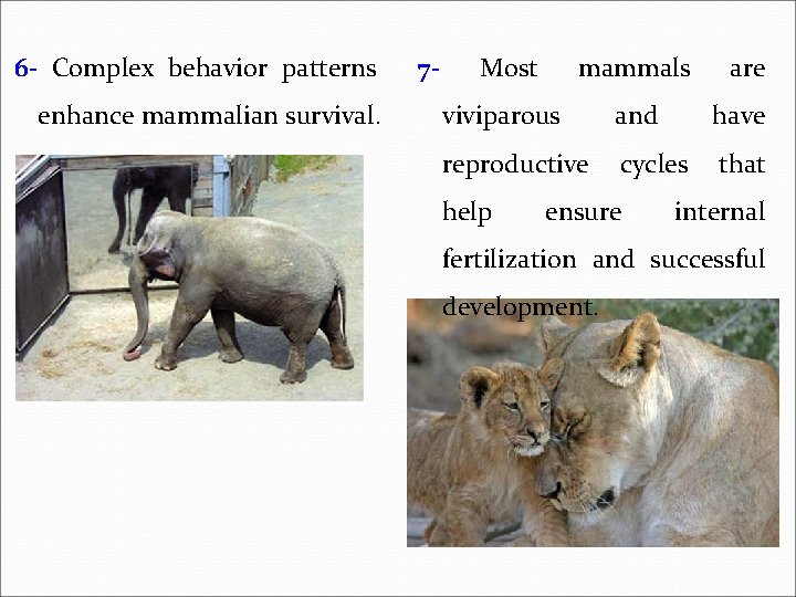 6 - Complex behavior patterns enhance mammalian survival. 7 - Most mammals viviparous and