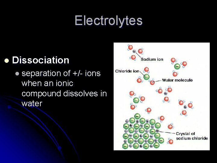 Electrolytes l Dissociation l separation of +/- ions when an ionic compound dissolves in Electrolytes l Dissociation l separation of +/- ions when an ionic compound dissolves in
