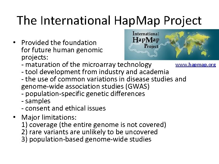 The International Hap. Map Project • Provided the foundation for future human genomic projects: