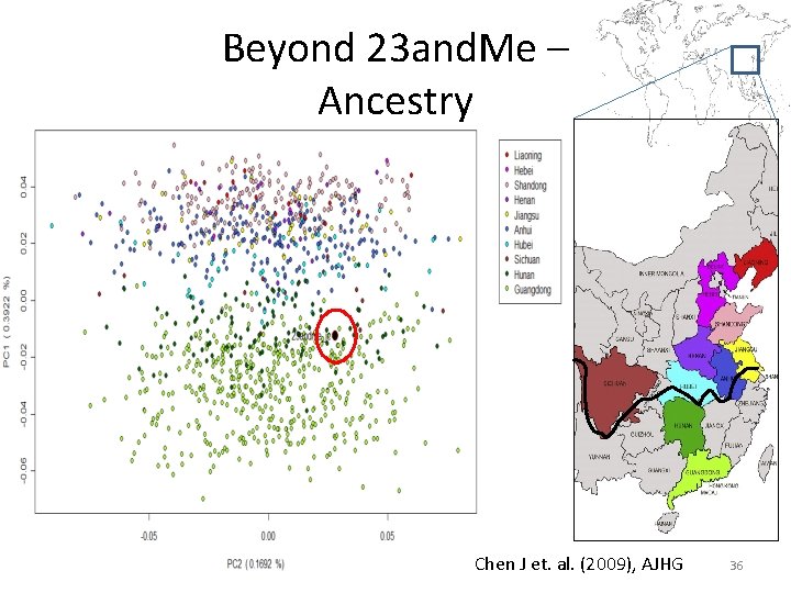 Beyond 23 and. Me – Ancestry Chen J et. al. (2009), AJHG 36 