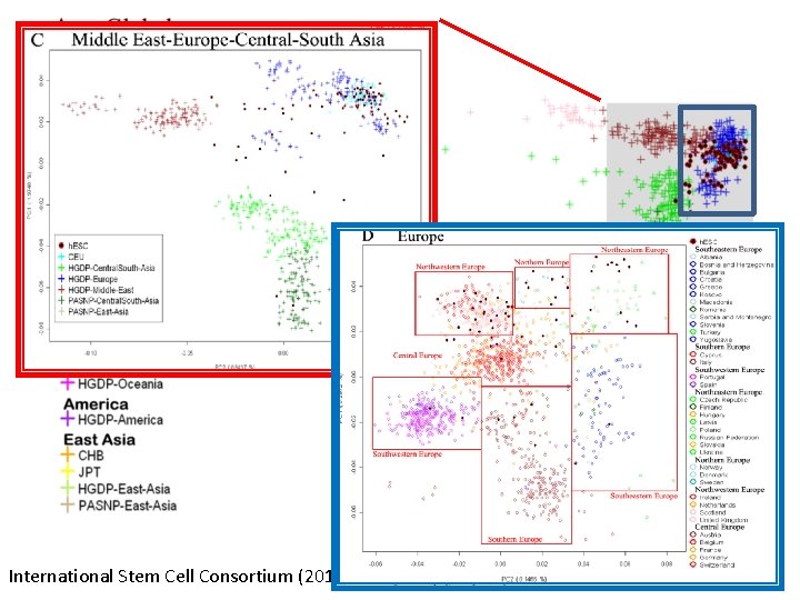 International Stem Cell Consortium (2011), Nat Biotech 