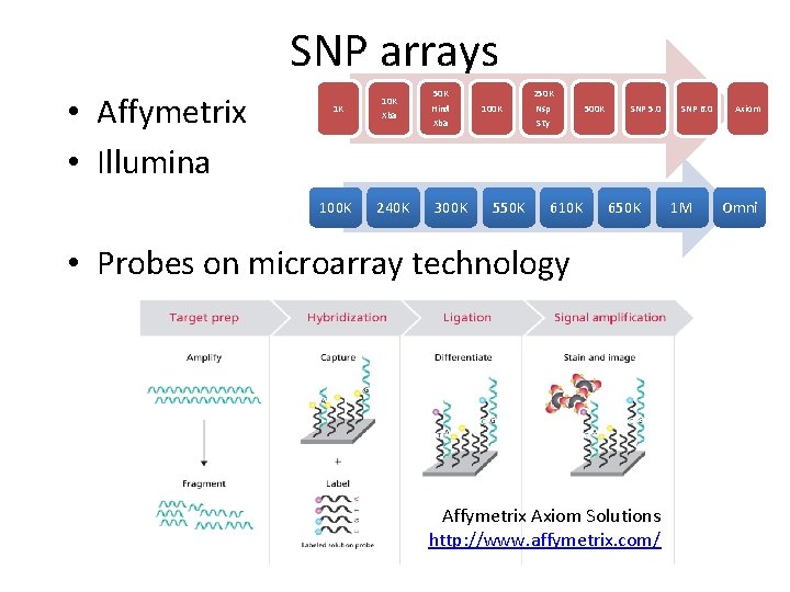 SNP arrays • Affymetrix • Illumina 1 K 100 K 10 K Xba 240