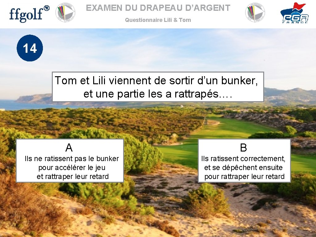 EXAMEN DU DRAPEAU D’ARGENT Questionnaire Lili & Tom 14 Tom et Lili viennent de
