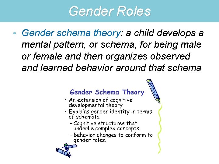 Gender Roles • Gender schema theory: a child develops a mental pattern, or schema,