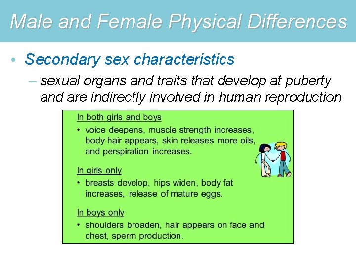 Male and Female Physical Differences • Secondary sex characteristics – sexual organs and traits